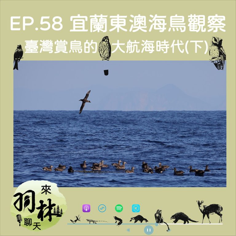 EP58|林哲安╳來羽林聊天:出越多次才越懂自己以前有多幸運?台灣海鳥大航海時代(下)
